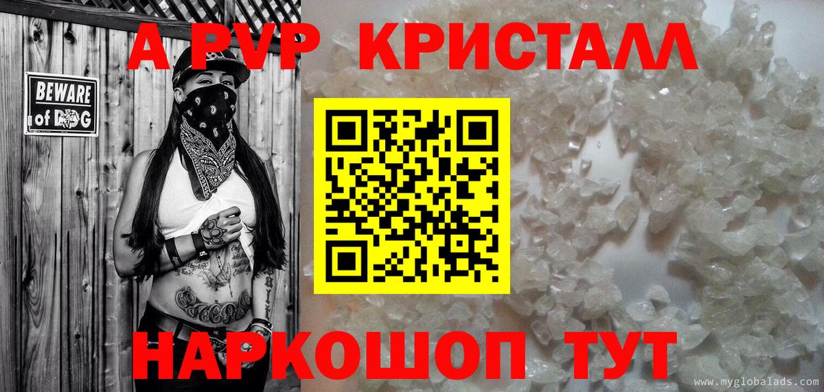 Alfa_PVP СК КРИС Новосибирск