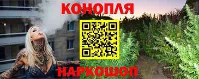 гашик Бузулук