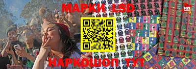 гашик Бузулук
