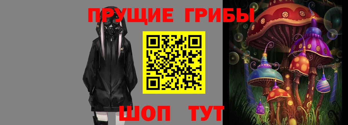 Новосибирск  продажа наркотиков  Псилоцибиновые грибы Psilocybe  Вход с VPN  Псилоцибиновые грибы мицелий 